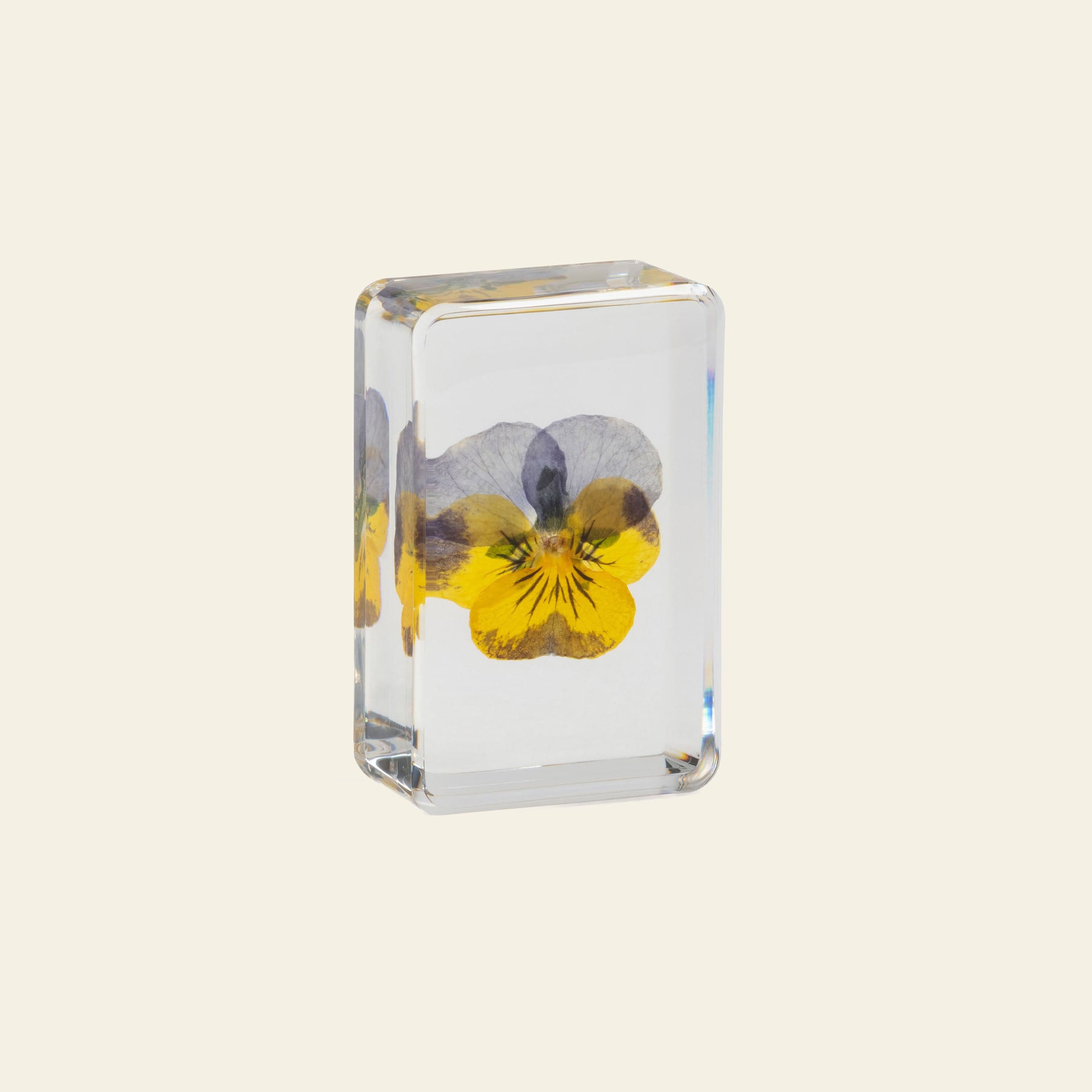 Tessel & Co. Violet Cube view 2