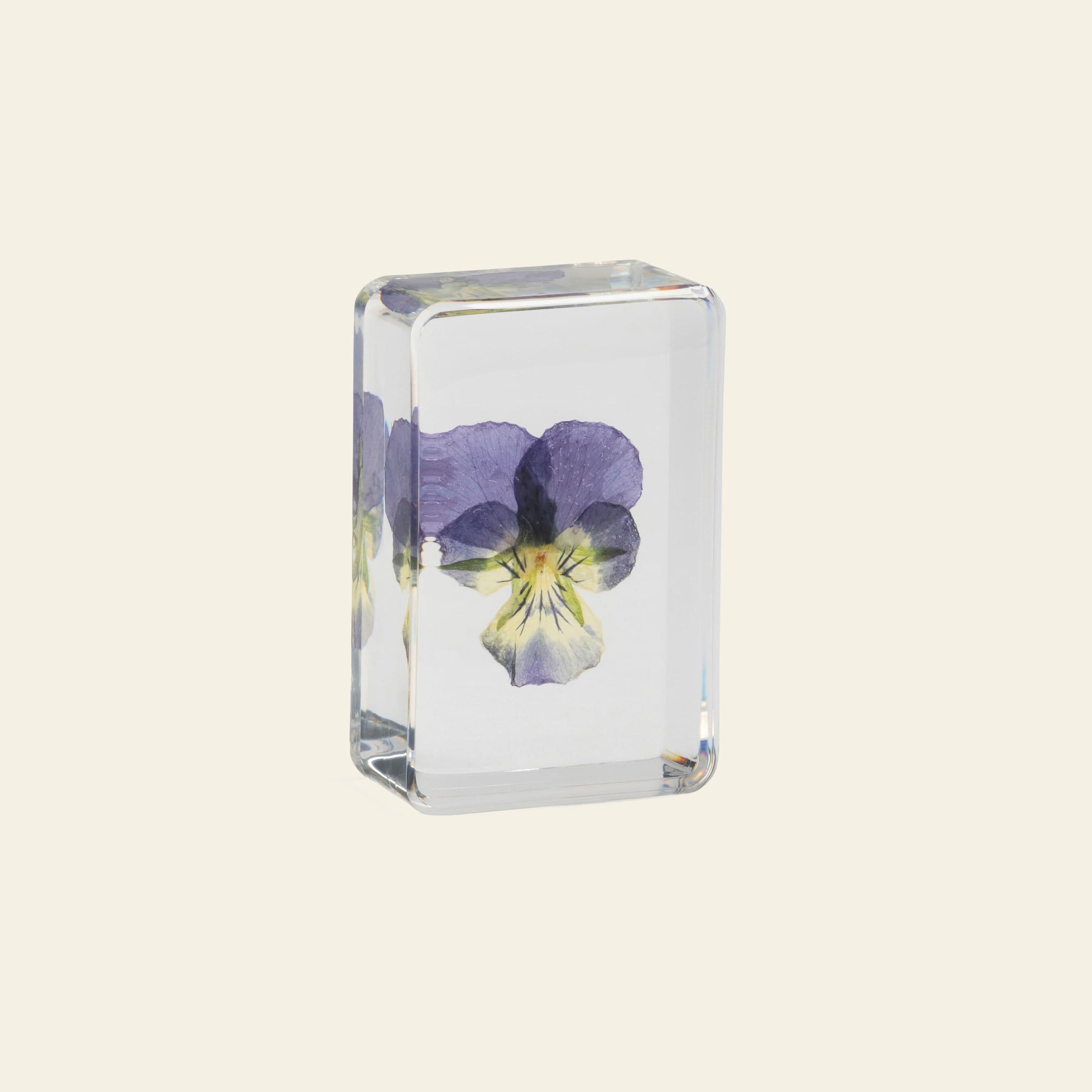 Tessel & Co. Violet Cube view 3