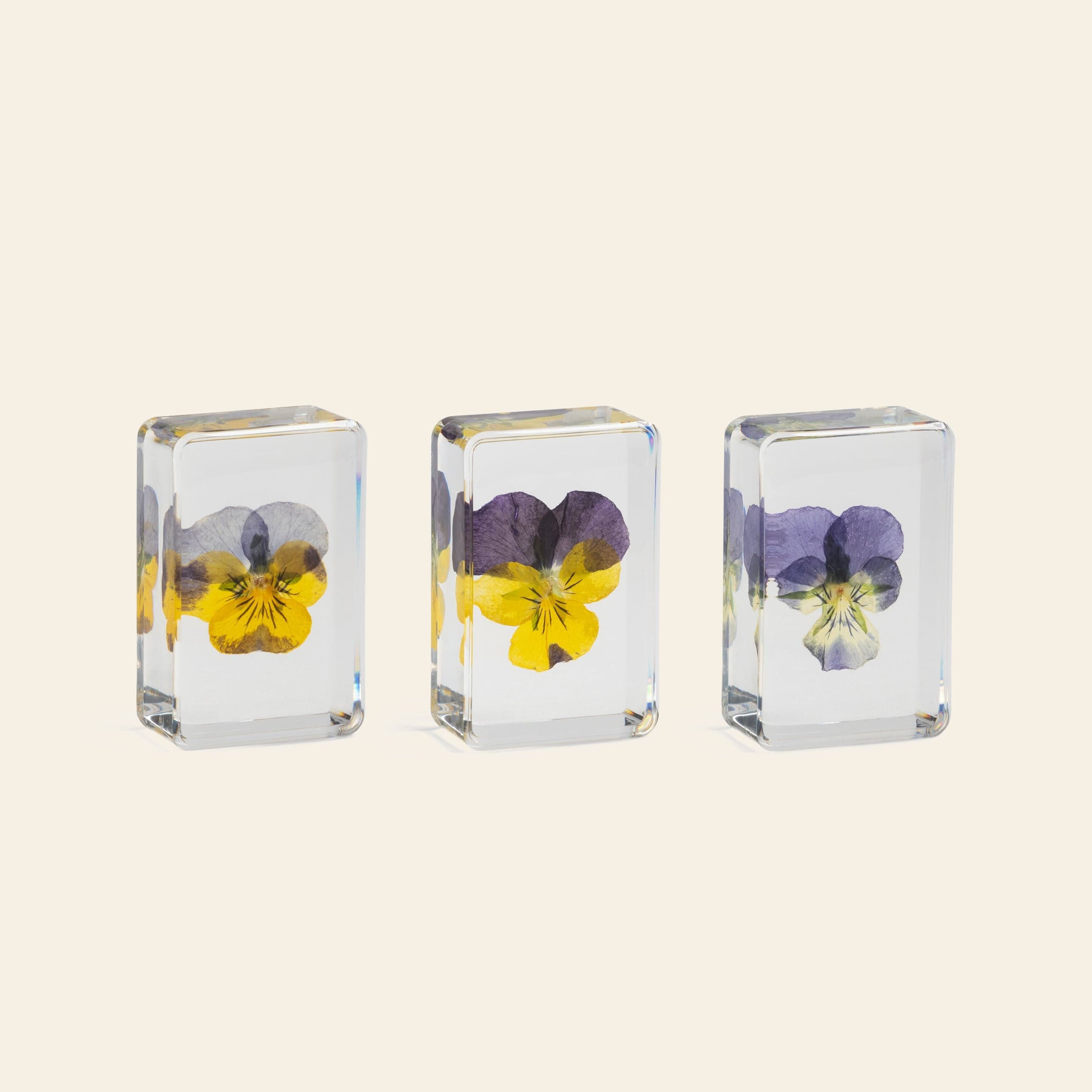 Tessel & Co. Violet Cube view 4