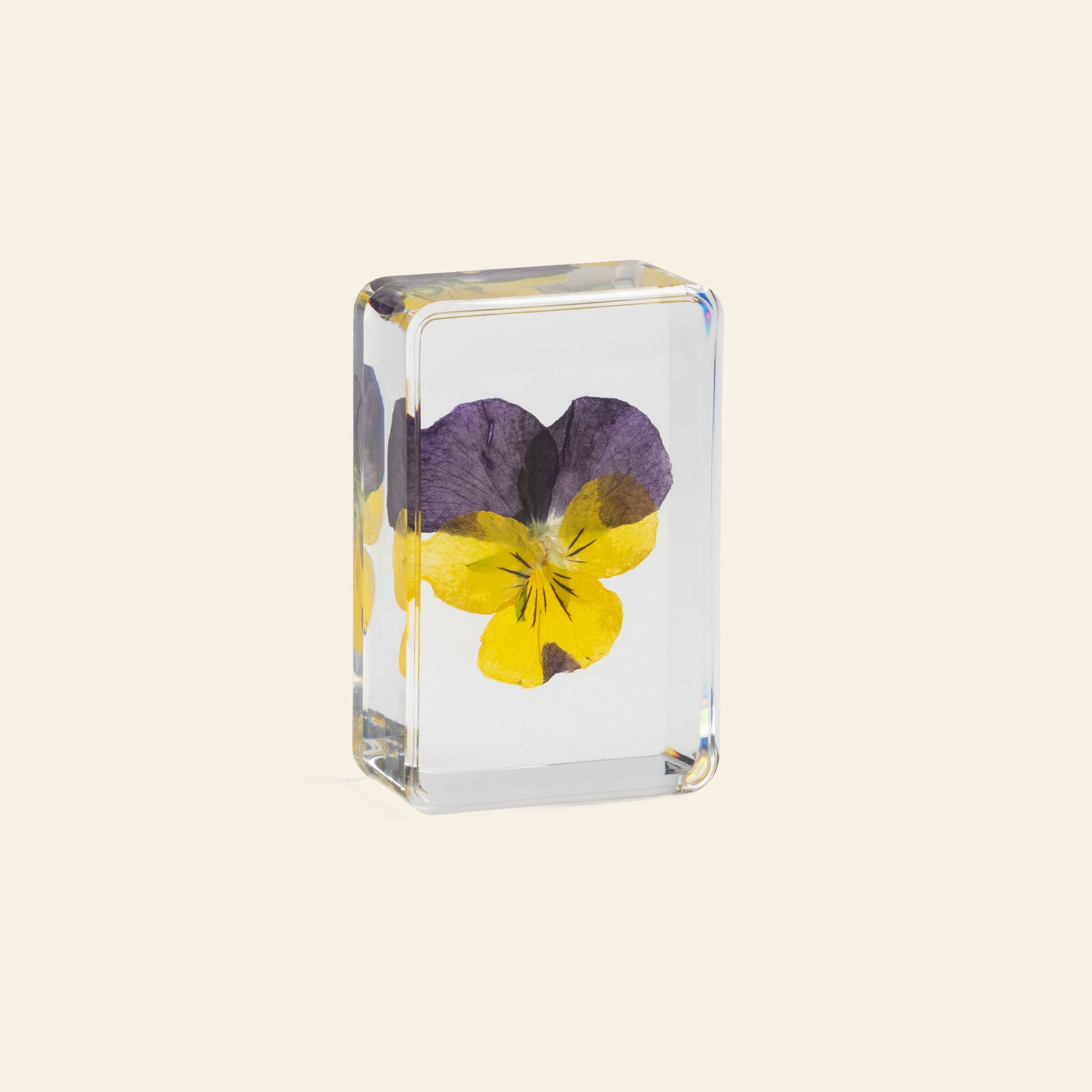 Tessel & Co. Violet Cube
